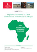 Affiche-DU-Droit-international-economique