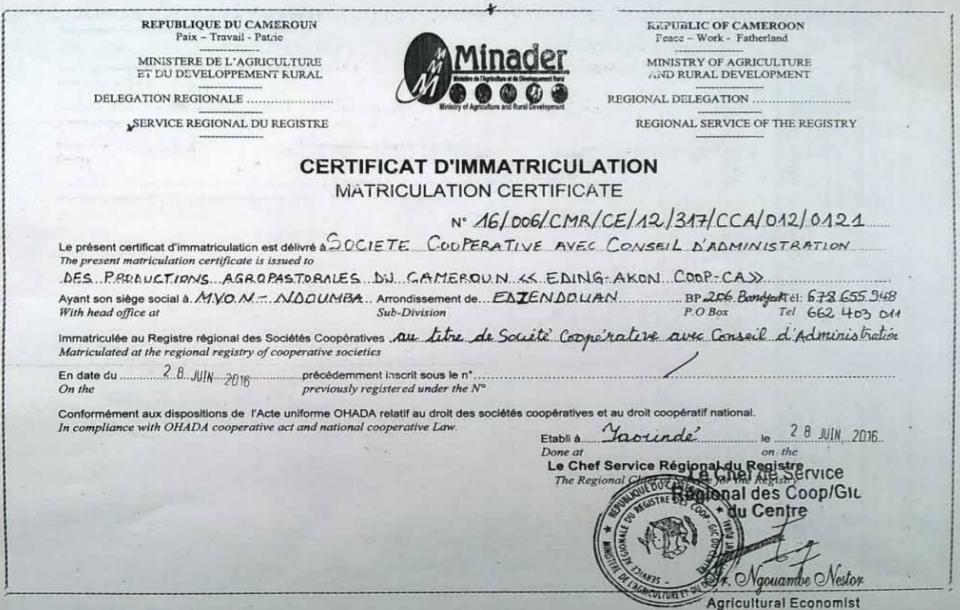 immatriculation-minader