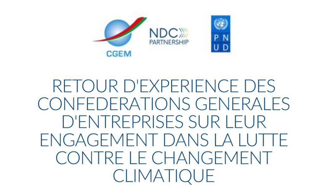 webinaire-cgem